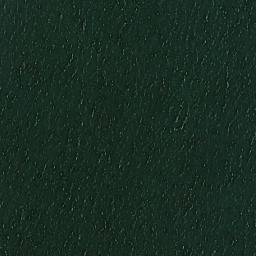 Satellite imagery of Punta Victoria, CL