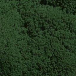 Satellite imagery of Monte San Felipe, CL