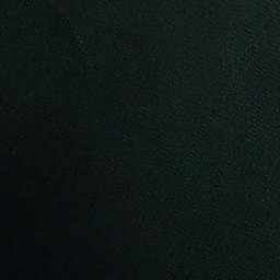 Satellite imagery of Punta Peterel, CL