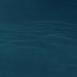 Satellite imagery of Punta Carneros, CL