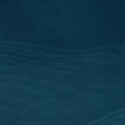 Satellite imagery of Punta Carneros, CL