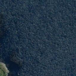 Satellite imagery of Punta Hollis, CL