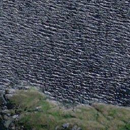 Satellite imagery of Punta Crisanta, CL