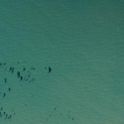 Satellite imagery of Roca Champión, AR