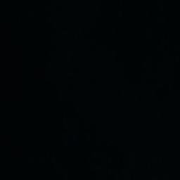 Satellite imagery of Punta Pajarito, CL