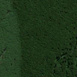 Satellite imagery of Cerro Coslalpe, AR