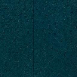 Satellite imagery of Punta Caimán, CL