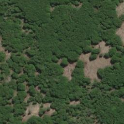 Satellite imagery of Cerro Shenolsh, AR