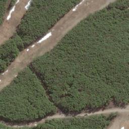 Satellite imagery of Cerro Castor, AR