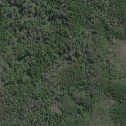 Satellite imagery of Punta Nordeste, CL