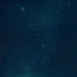 Satellite imagery of Punta Walker, CL