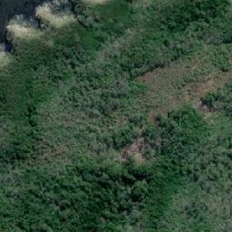 Satellite imagery of Punta Calfuco, CL
