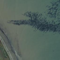 Satellite imagery of Punta Guanaco, CL