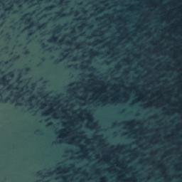 Satellite imagery of Punta Guanaco, CL