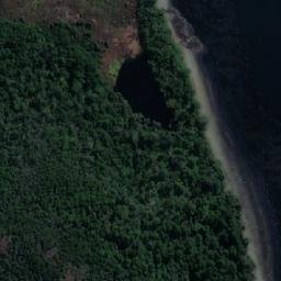 Satellite imagery of Punta Fósil, CL