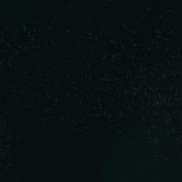 Satellite imagery of Punta Sauvinet, CL