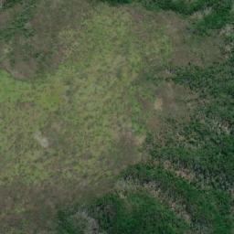 Satellite imagery of Punta Greene, CL