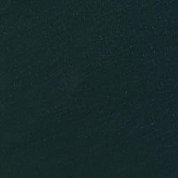 Satellite imagery of Punta Gun, CL