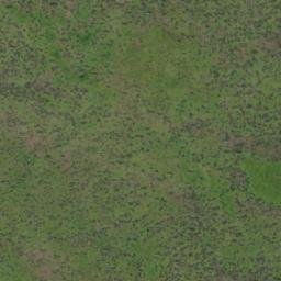 Satellite imagery of Punta Gori, CL