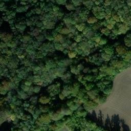 manoir de Bellinglise