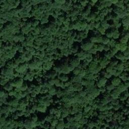 château d'Ollencourt