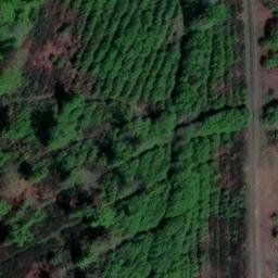 château du Plessis Brion