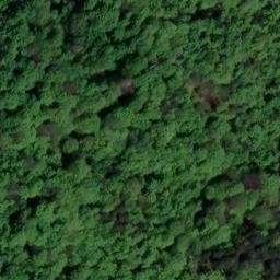 château de Francport