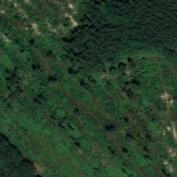 château fort de Vienne le château