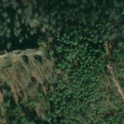 Ruines du château Wasigenstein