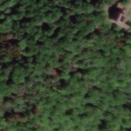 Ruines du château de Wasenbourg