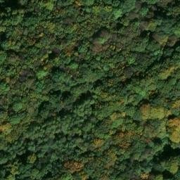 enceinte et oppidum de Tincry