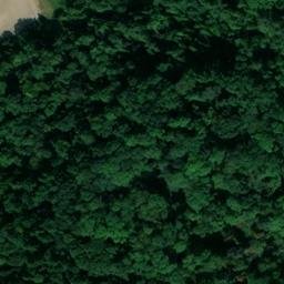 motte castrale de Marimont-lès-Bénestroff