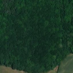 château fort des Montgomery