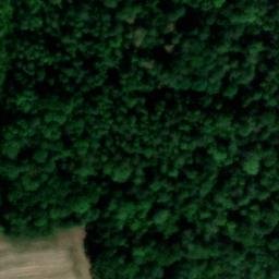 château de Bussemont