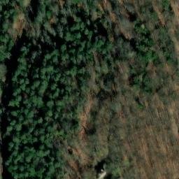 Ruines du château du Petit-Geroldseck