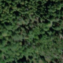 vieux château d'Abreschviller