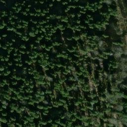 fortifications gallo-romaines sur le Ringelsberg