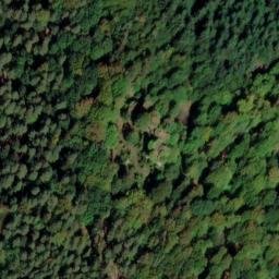 Ruines du château Ringelsboug