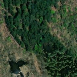 Ruines du château de Spesbourg