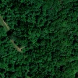 Ancienne cité de la Mothe (également sur commune de Outremécourt)