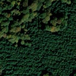 château de Montaigu