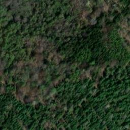 château de Montfort