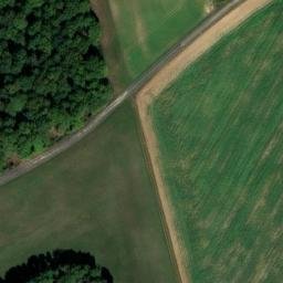 enceinte du bois des Goislardières