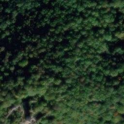 Ruines du château de Pflixbourg