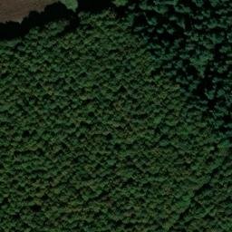 château de Coulonge