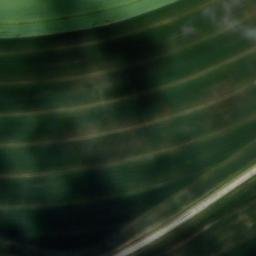 château de la Chesnuère