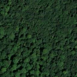 château des Ducs de Bourgogne