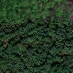 château Saint Sauveur en Puisaye