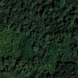 Domaine du château de Bussy-Rabutin