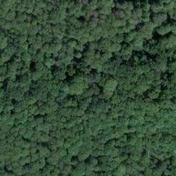 manoir de la Chaussée